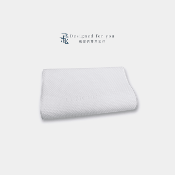 V14 親水涼感舒眠工學枕
